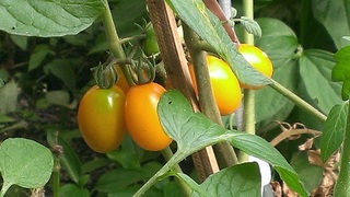 IMAG0063.jpg