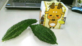 IMAG0636.jpg